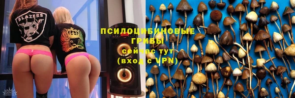 соль ск Арсеньев