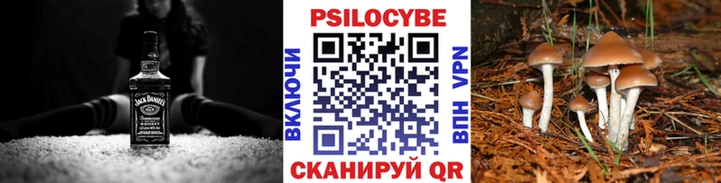 мега ссылка  купить наркотики цена  Баймак  Галлюциногенные грибы ЛСД 